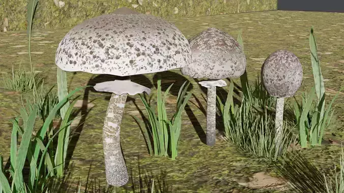 Mushroom umbrella Low-poly 3D model