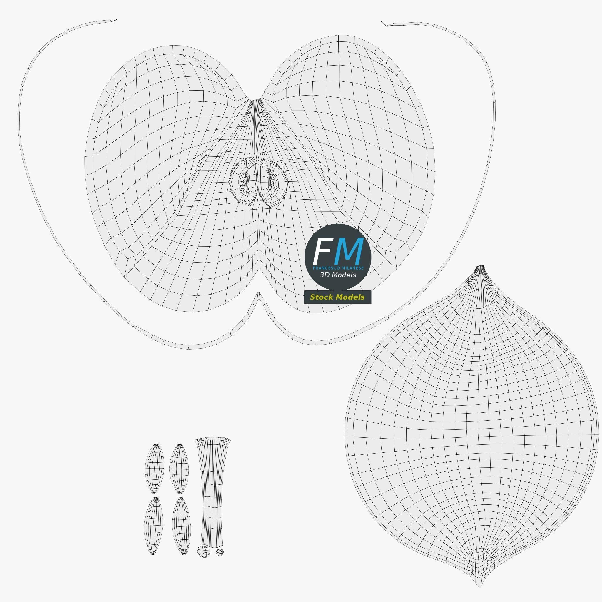 Green apples 3D model_11