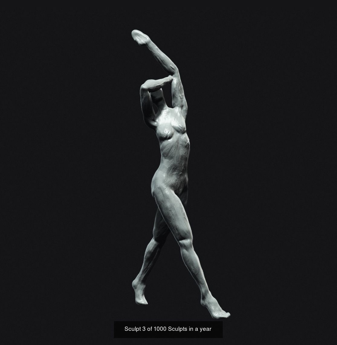 Excerpt from the 1000 sculpts in a year series 3D Model Collection_3