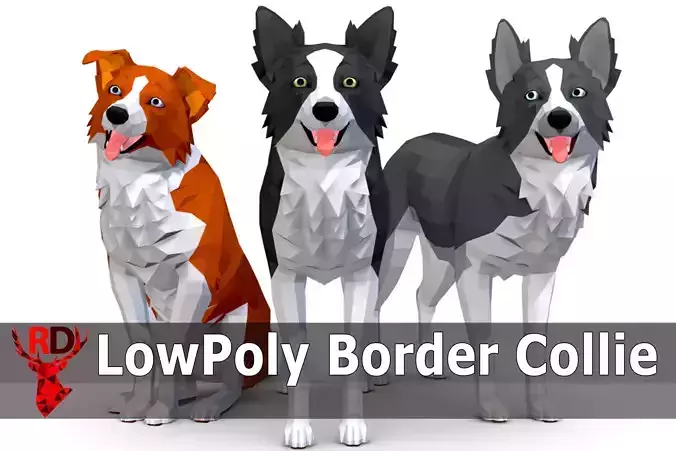 LowPoly Dog - Border Collie Low-poly 3D model