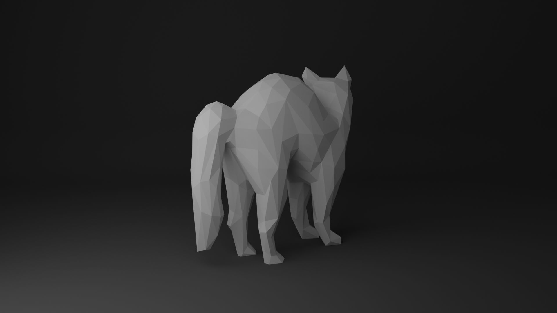 Cat Low Poly 3D Model Collection_33