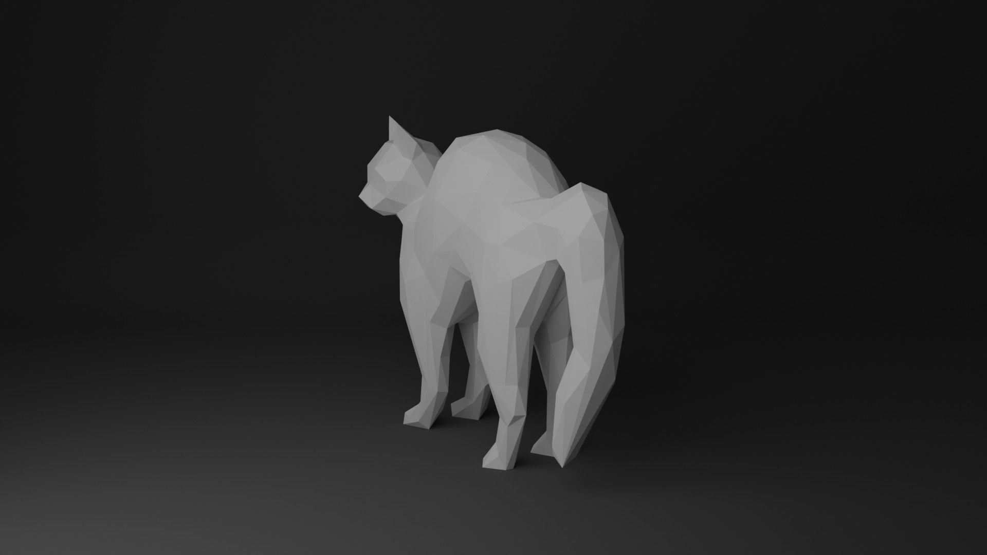 Cat Low Poly 3D Model Collection_36