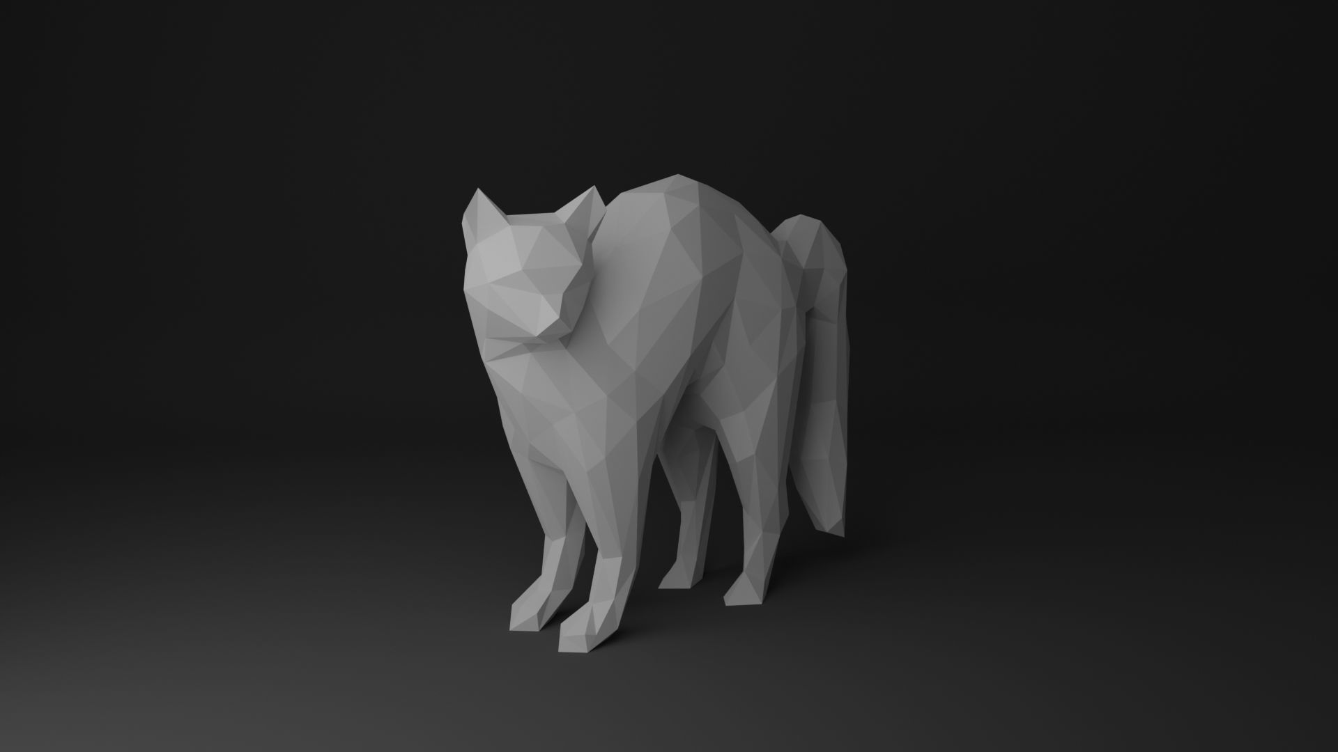 Cat Low Poly 3D Model Collection_34