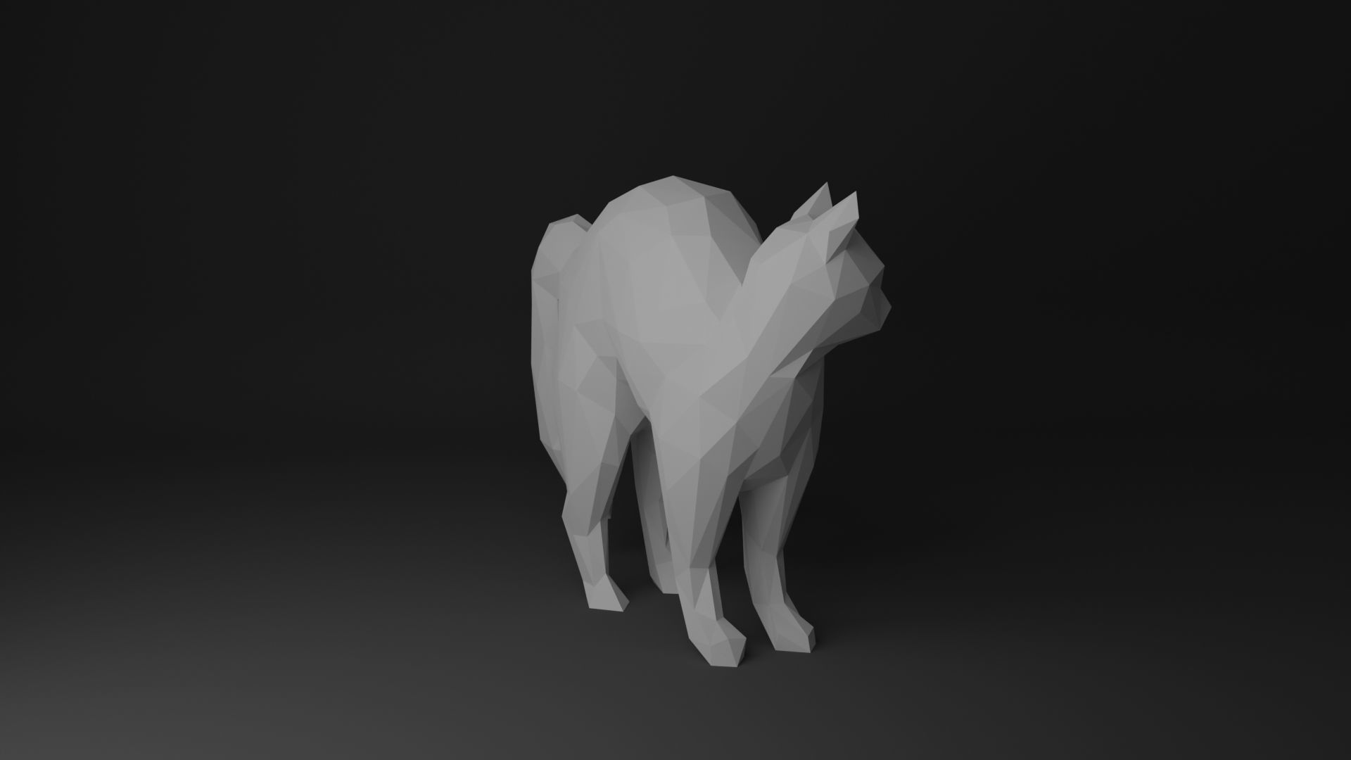 Cat Low Poly 3D Model Collection_35
