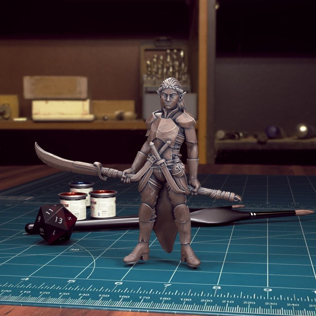 DND Heroes - Female Fighters - Pre-Supported 3D print model_12