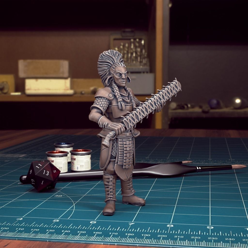 DND Heroes - Female Fighters - Pre-Supported 3D print model_20