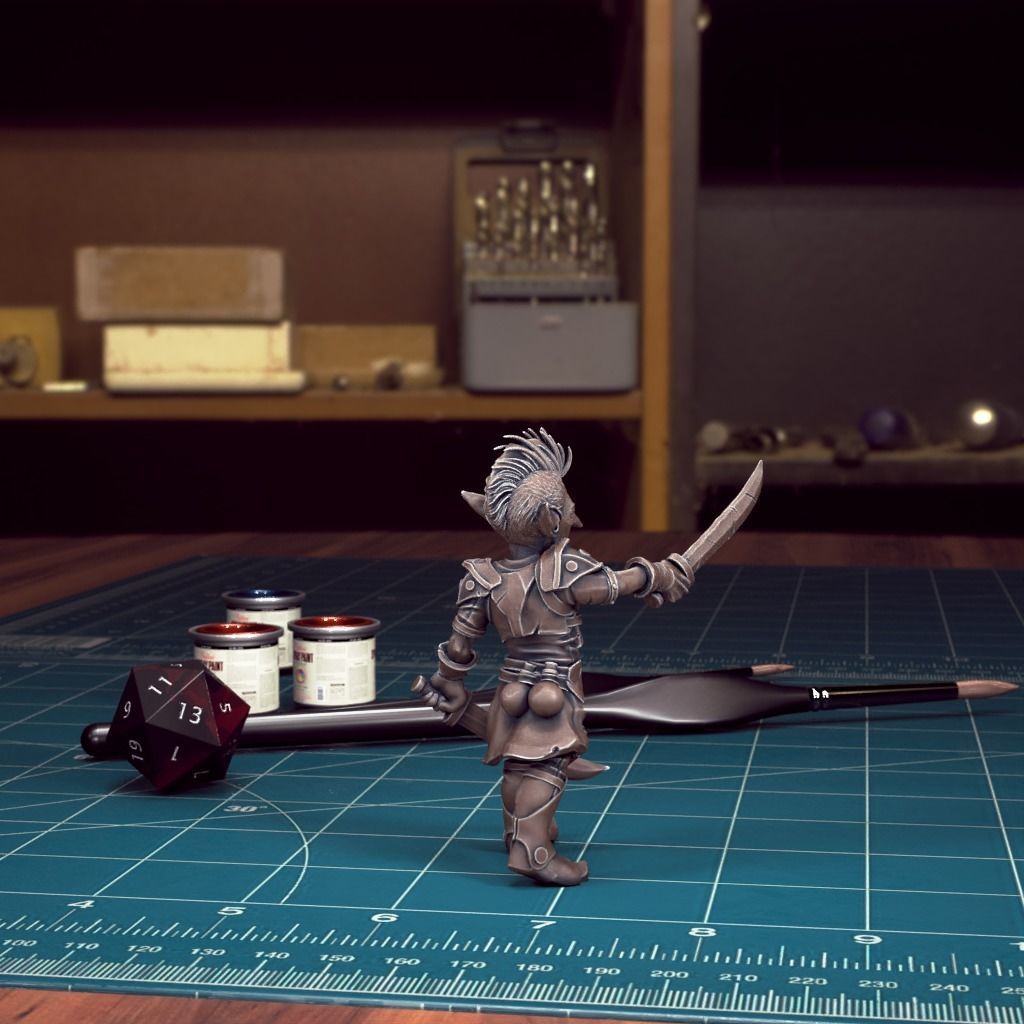 DND Heroes - Female Fighters - Pre-Supported 3D print model_29