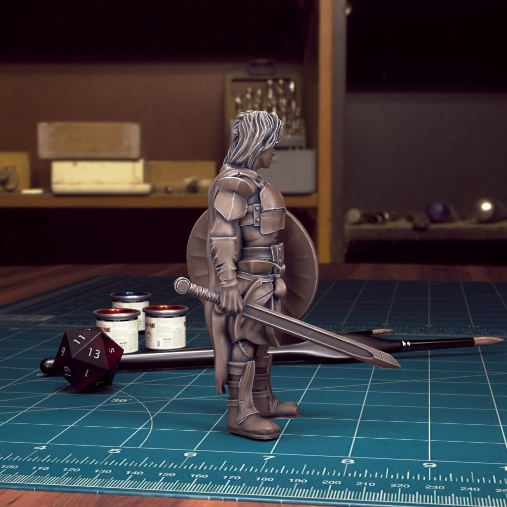 DND Heroes - Female Fighters - Pre-Supported 3D print model_35