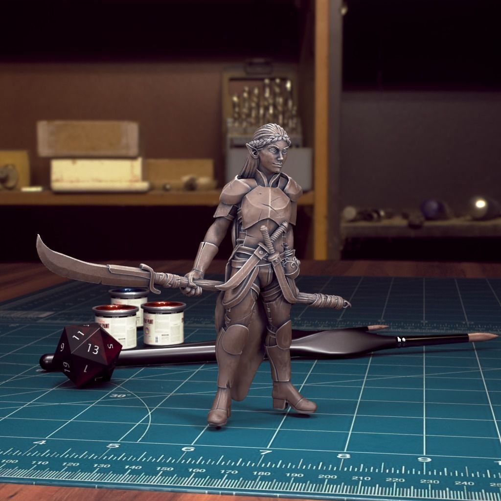 DND Heroes - Female Fighters - Pre-Supported 3D print model_15