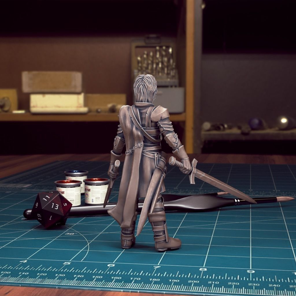 DND Heroes - Female Fighters - Pre-Supported 3D print model_39