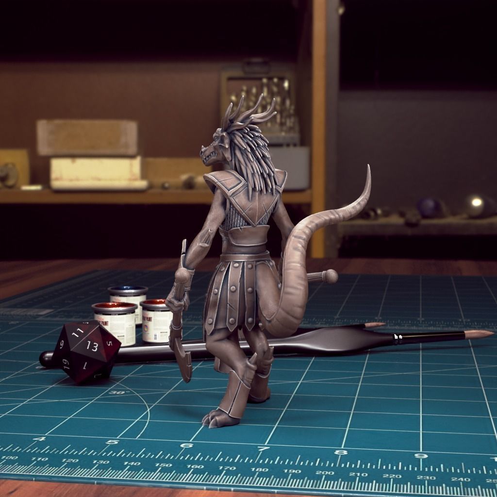 DND Heroes - Female Fighters - Pre-Supported 3D print model_4