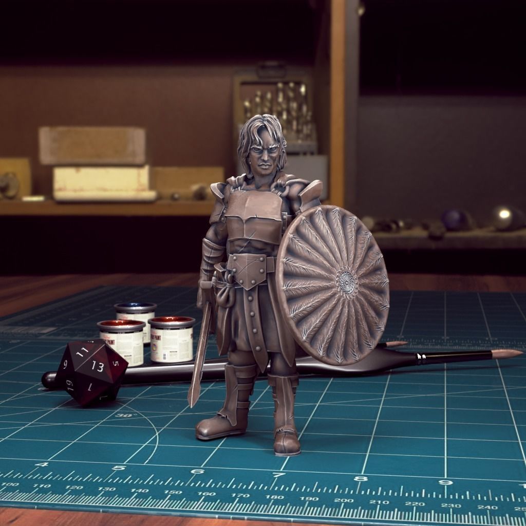 DND Heroes - Female Fighters - Pre-Supported 3D print model_32