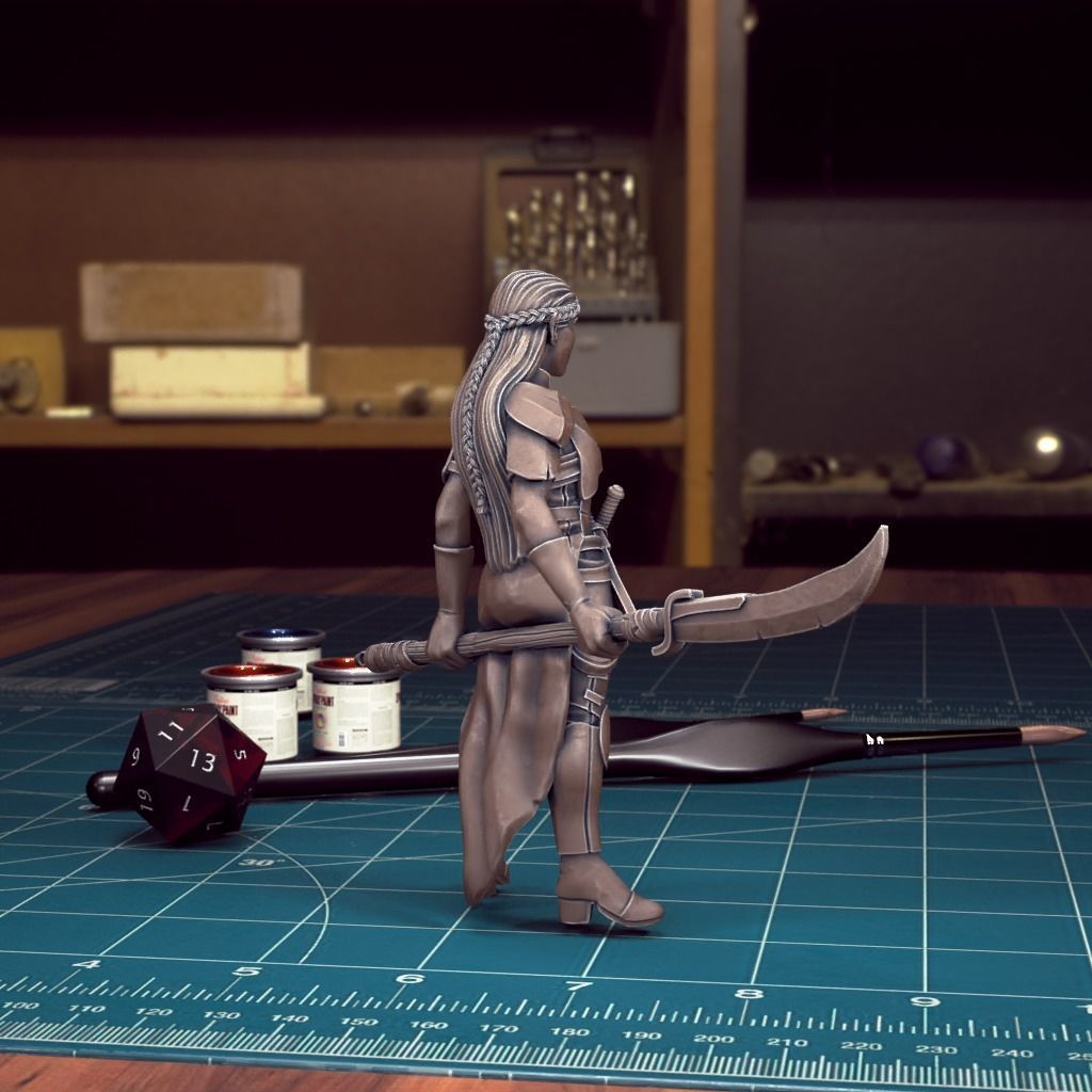 DND Heroes - Female Fighters - Pre-Supported 3D print model_14