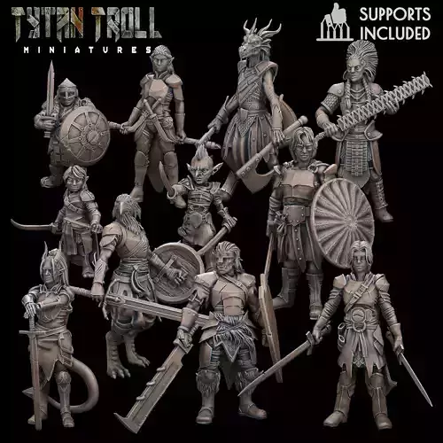  DND Heroes - Female Fighters - Pre-Supported 3D print model