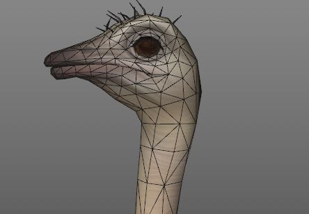 Ostrich animation Low-poly 3D model_5