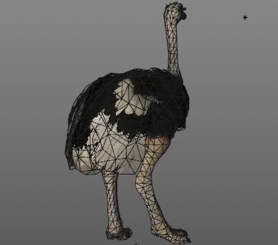 Ostrich animation Low-poly 3D model_4