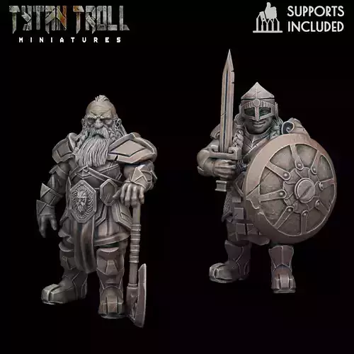  DND Heroes - Dwarf Fighters - Pre-Supported