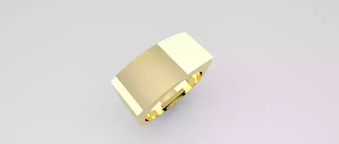 anillo basico talla 10