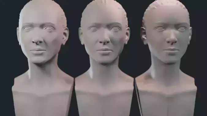 Female Heads 3D model