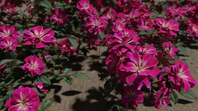Pink roses Low-poly 3D model