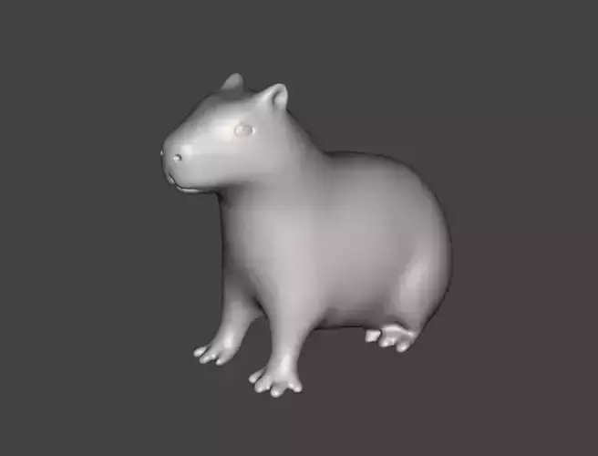 Capybara 3D print model