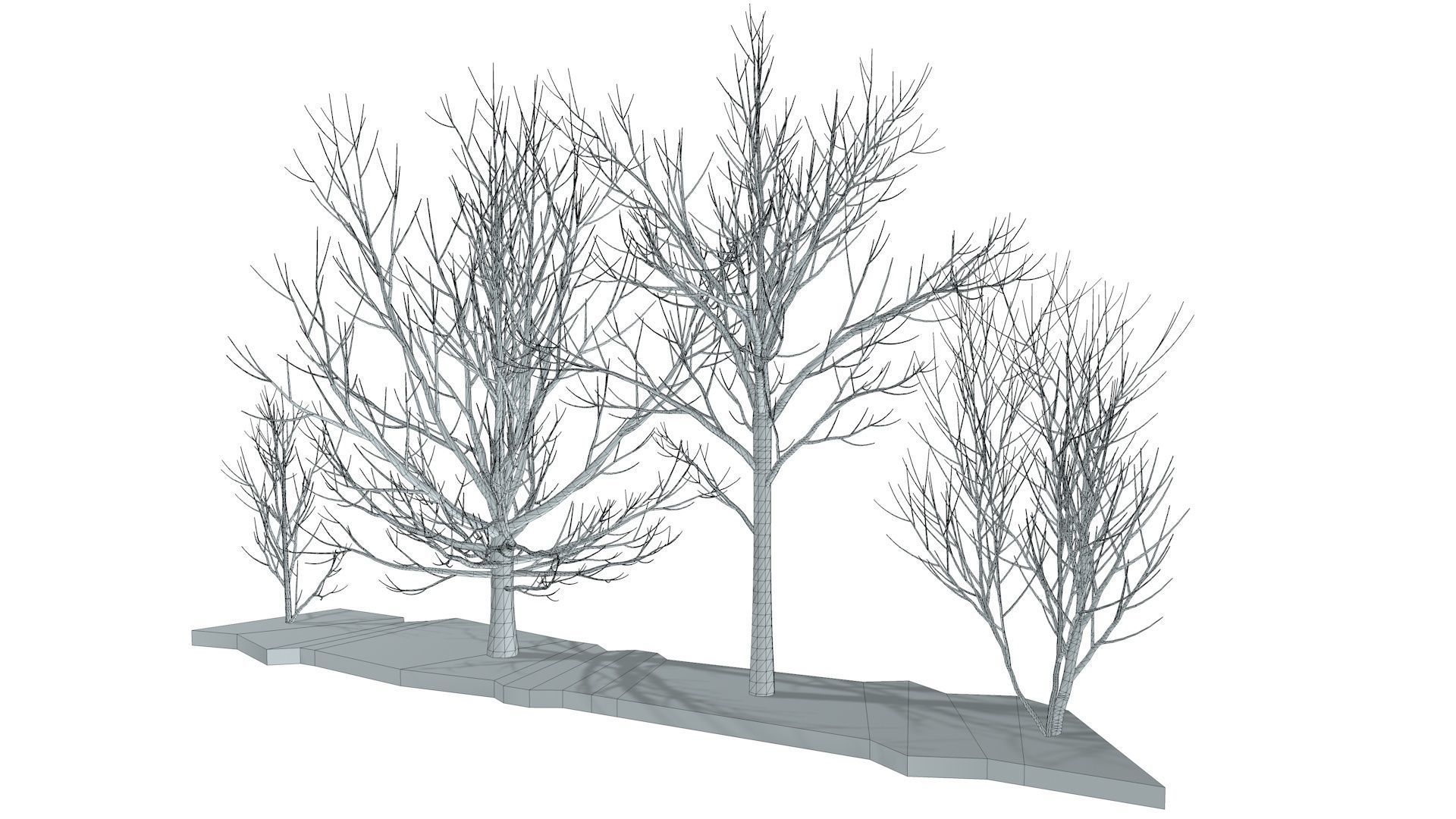 Bare trees Low-poly Low-poly 3D model_6