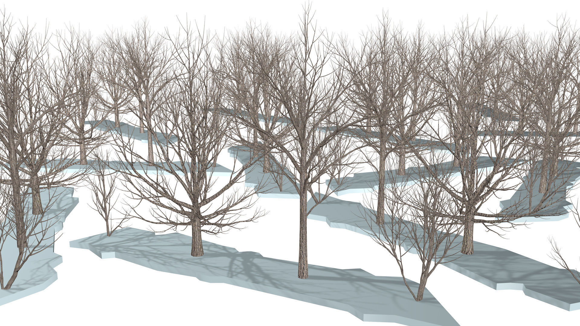 Bare trees Low-poly Low-poly 3D model_5