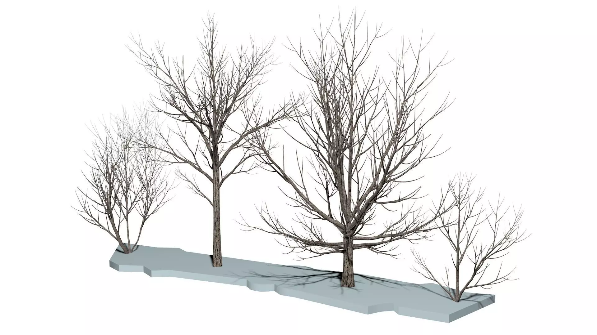 Bare trees Low-poly Low-poly 3D model_0