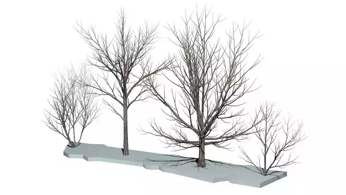 Bare trees Low-poly Low-poly 3D model