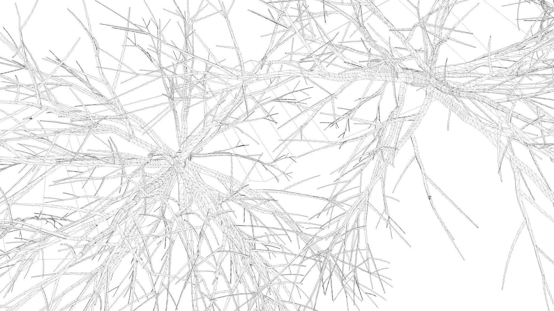 Bare trees Low-poly Low-poly 3D model_7