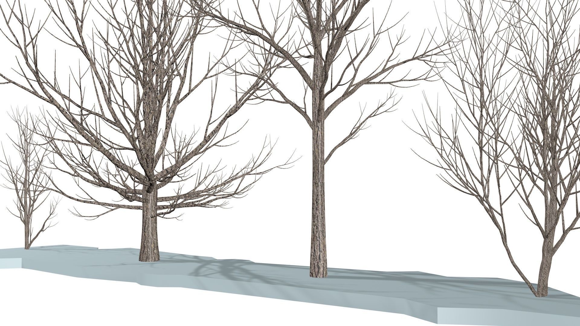 Bare trees Low-poly Low-poly 3D model_4