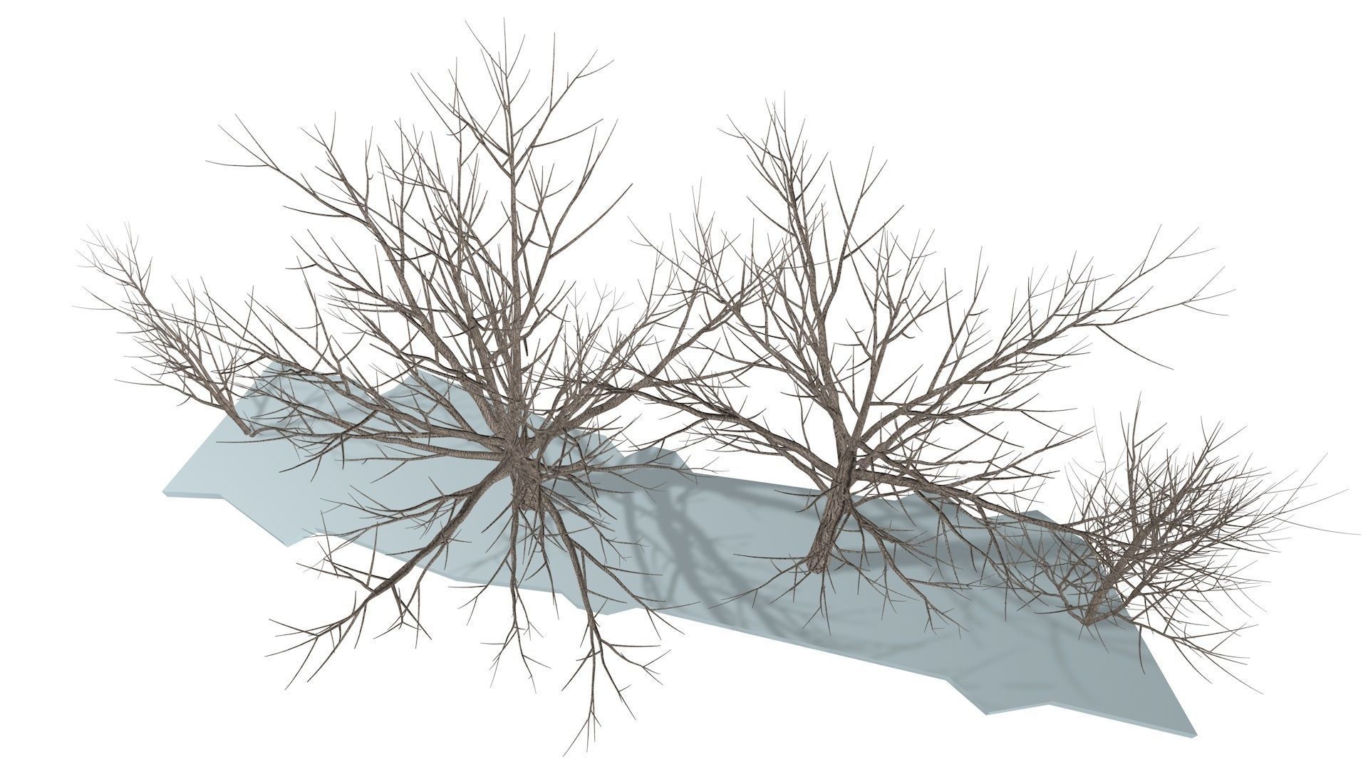 Bare trees Low-poly Low-poly 3D model_3