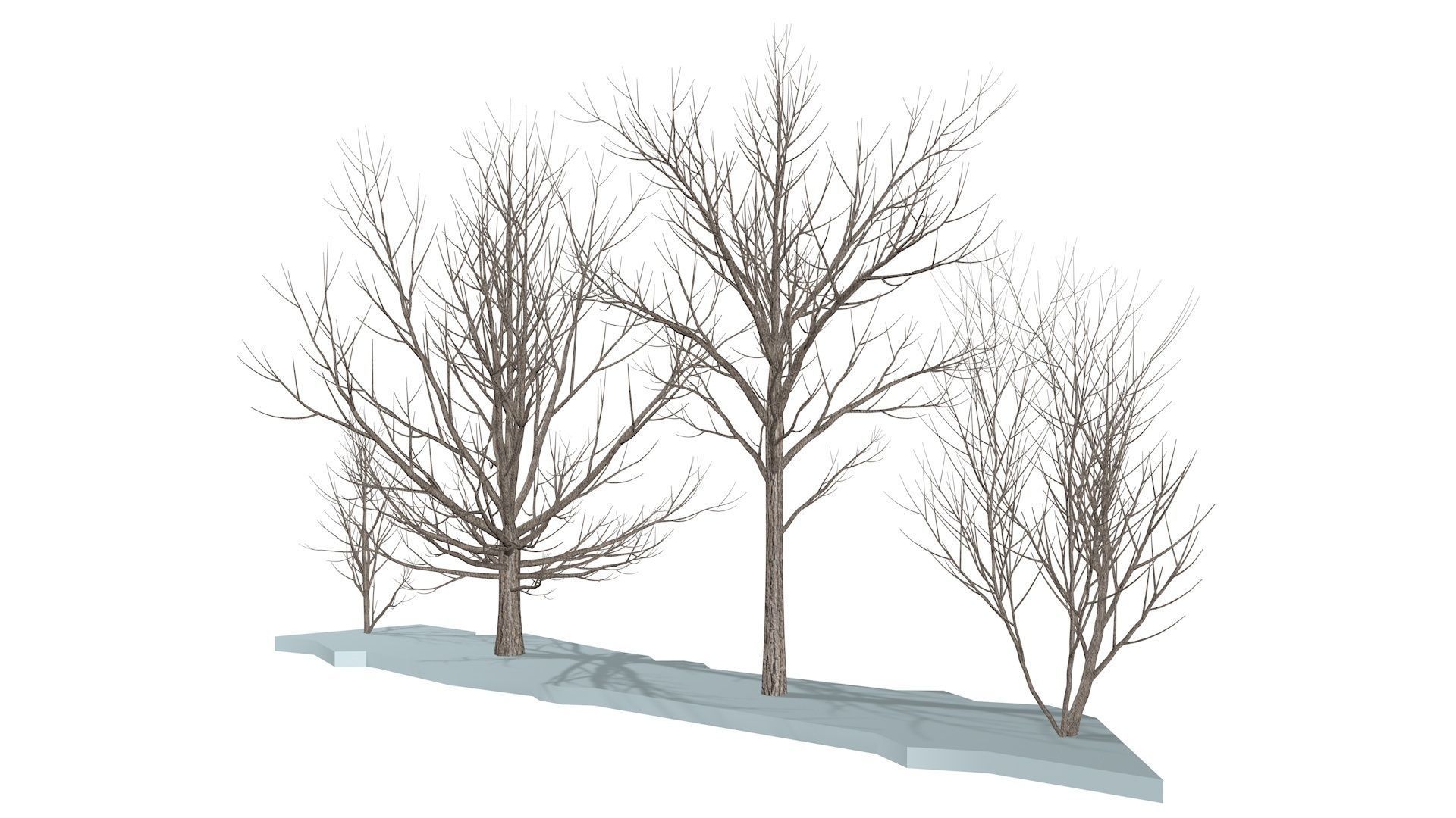 Bare trees Low-poly Low-poly 3D model_2