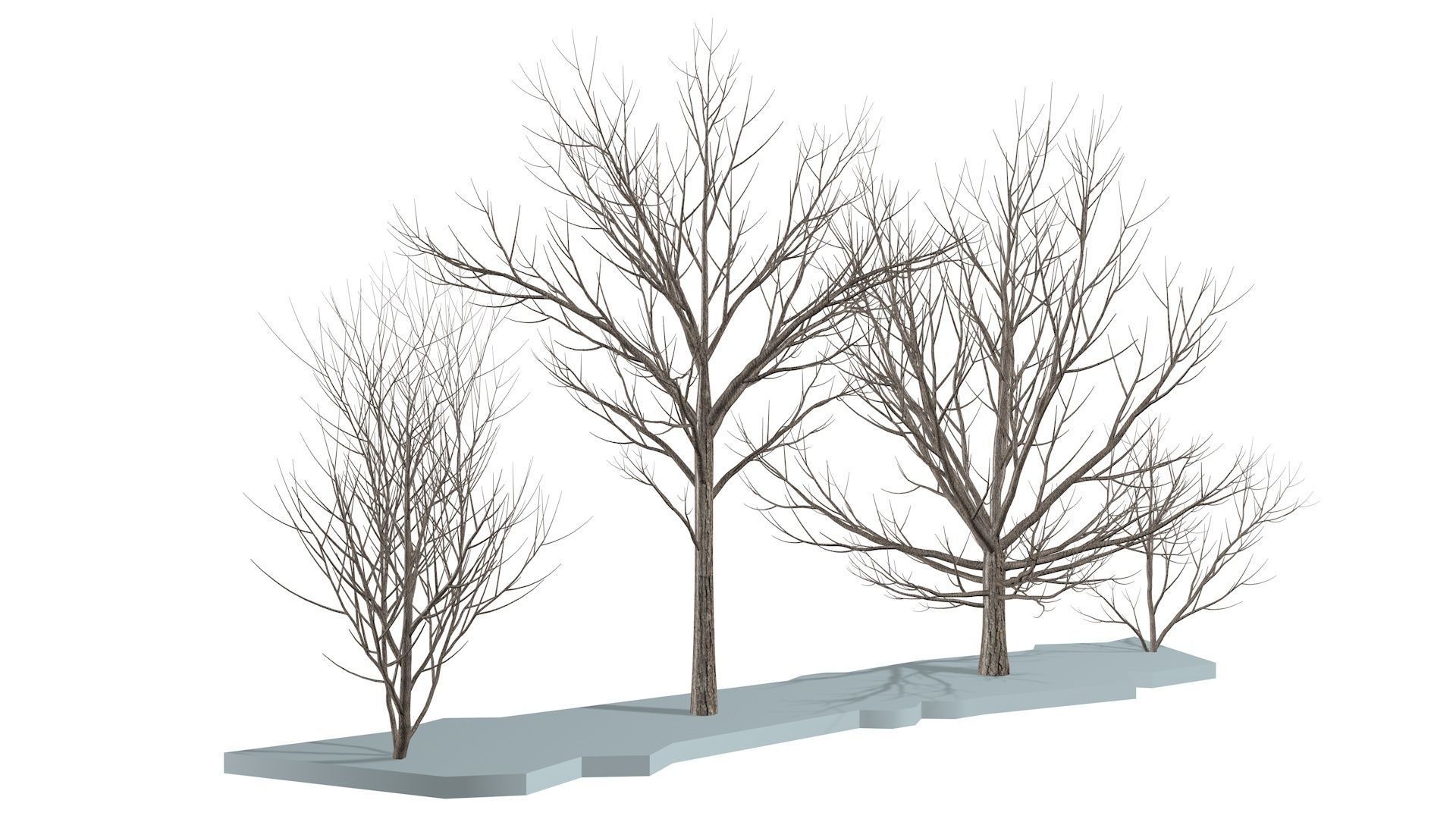 Bare trees Low-poly Low-poly 3D model_1