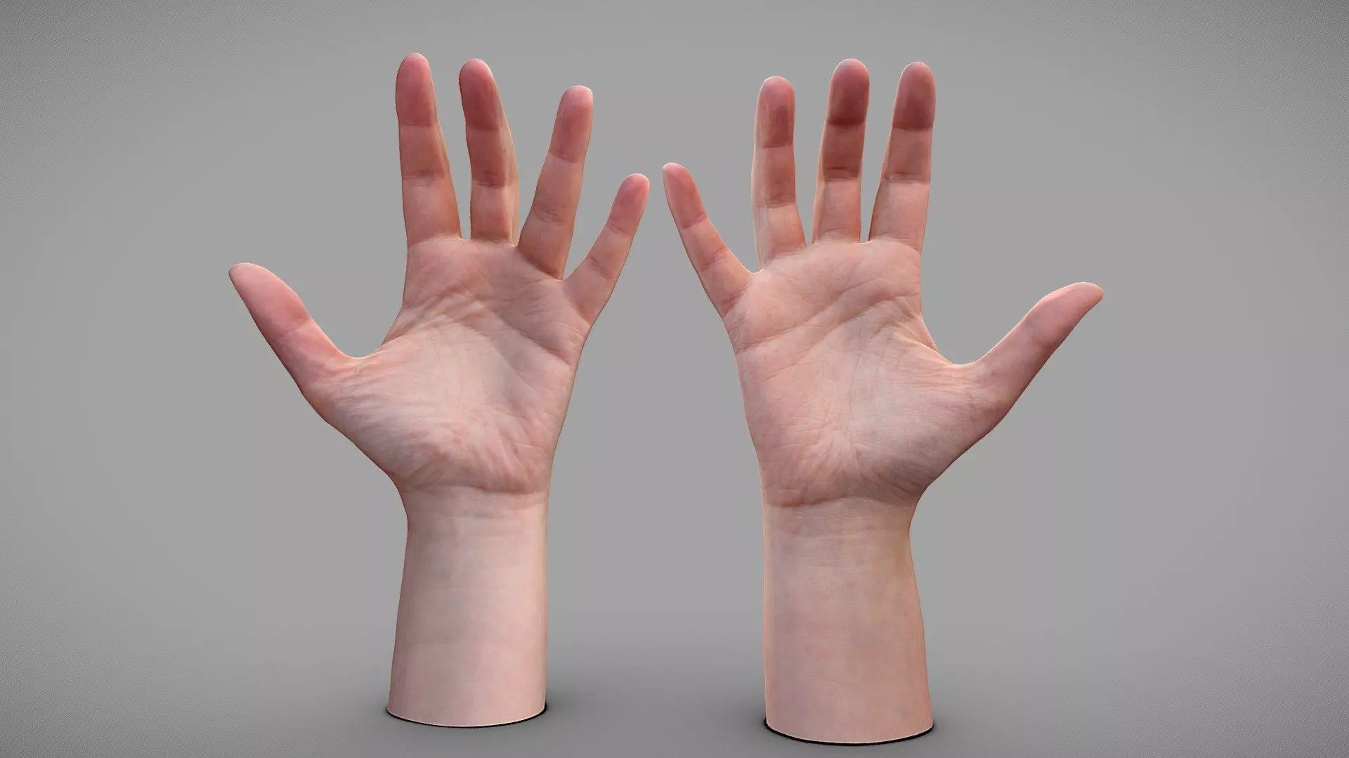 Hands 3D model_0