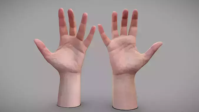 Hands