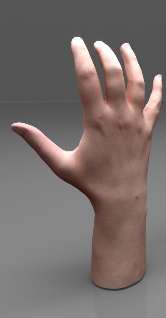 Hands 3D model_3