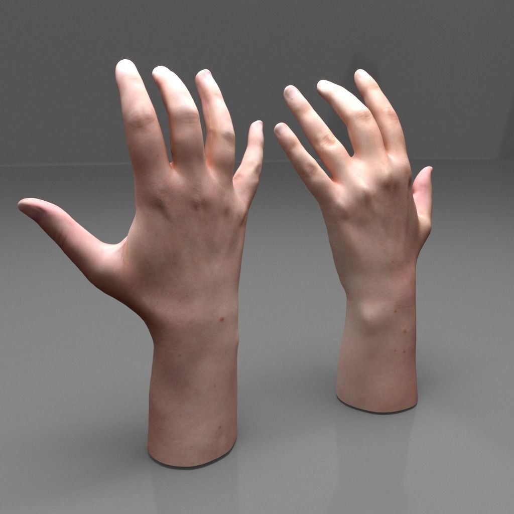 Hands 3D model_1