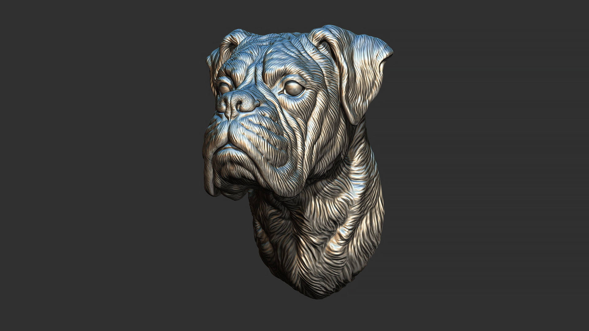 Deutscher Boxer bust 3D print model_10