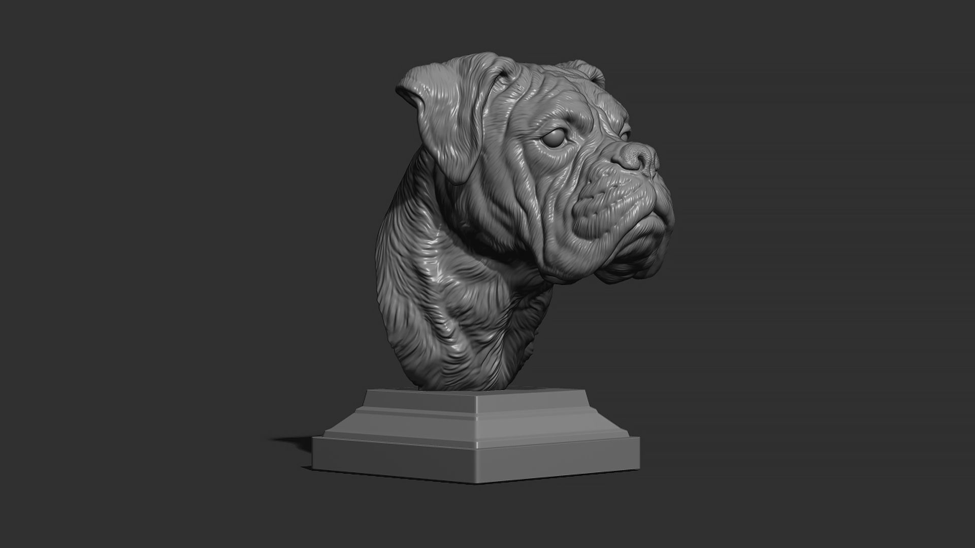Deutscher Boxer bust 3D print model_18