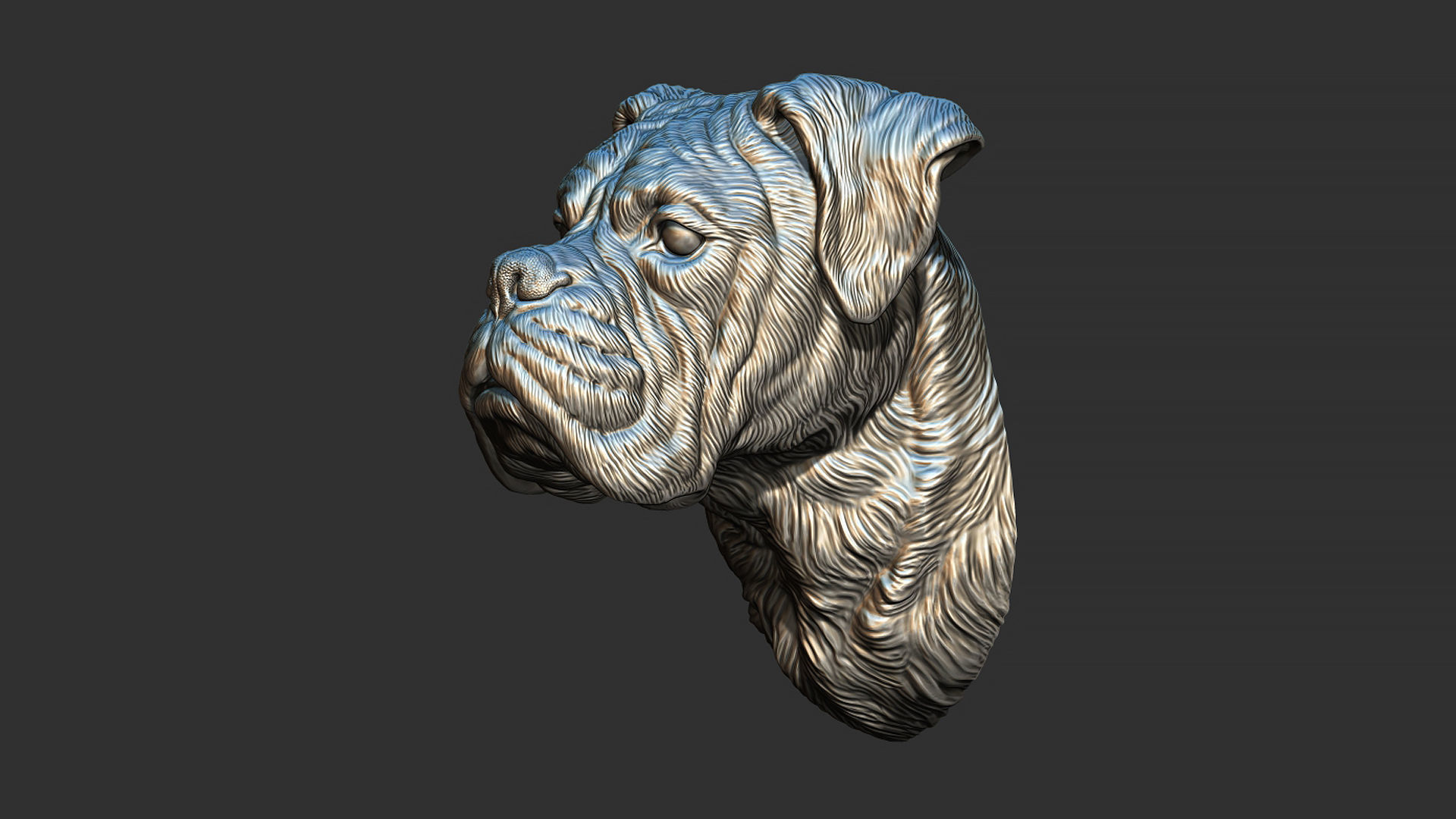 Deutscher Boxer bust 3D print model_9