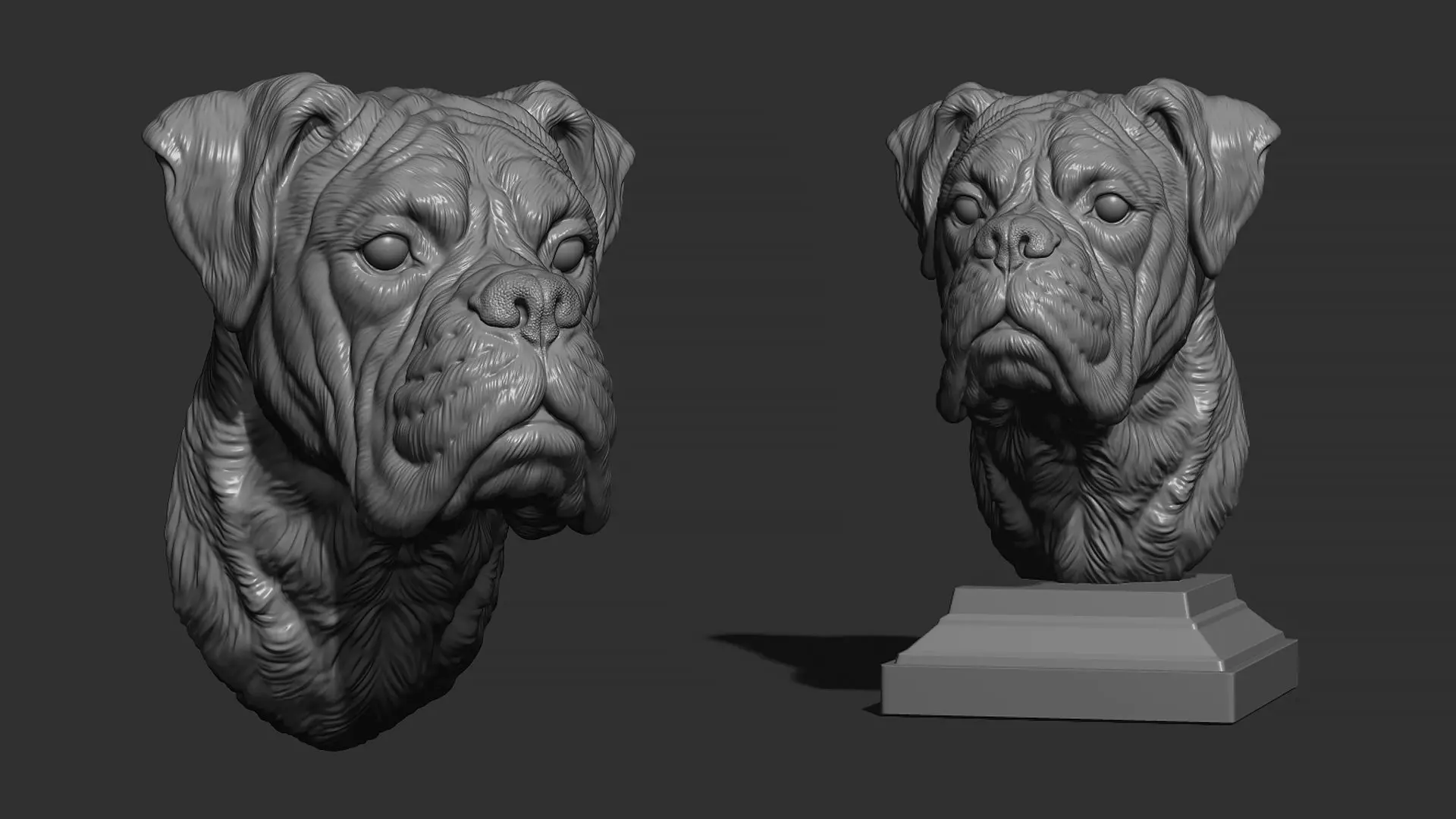 Deutscher Boxer bust 3D print model_0
