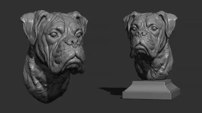 Deutscher Boxer bust 3D print model Deutscher Boxer bust 3D print model