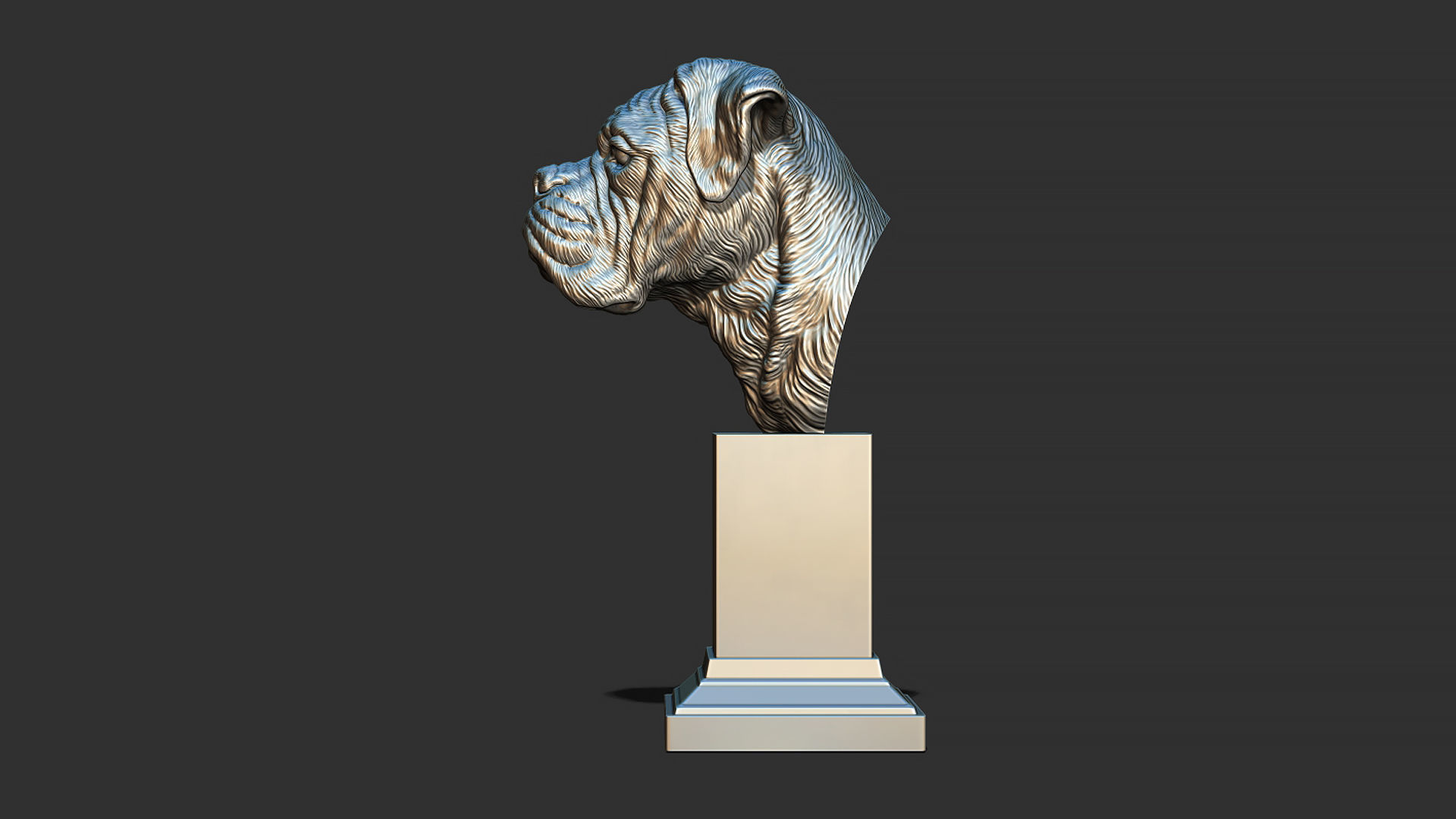 Deutscher Boxer bust 3D print model_12