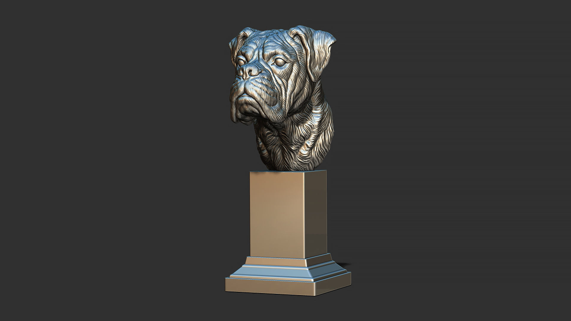 Deutscher Boxer bust 3D print model_14