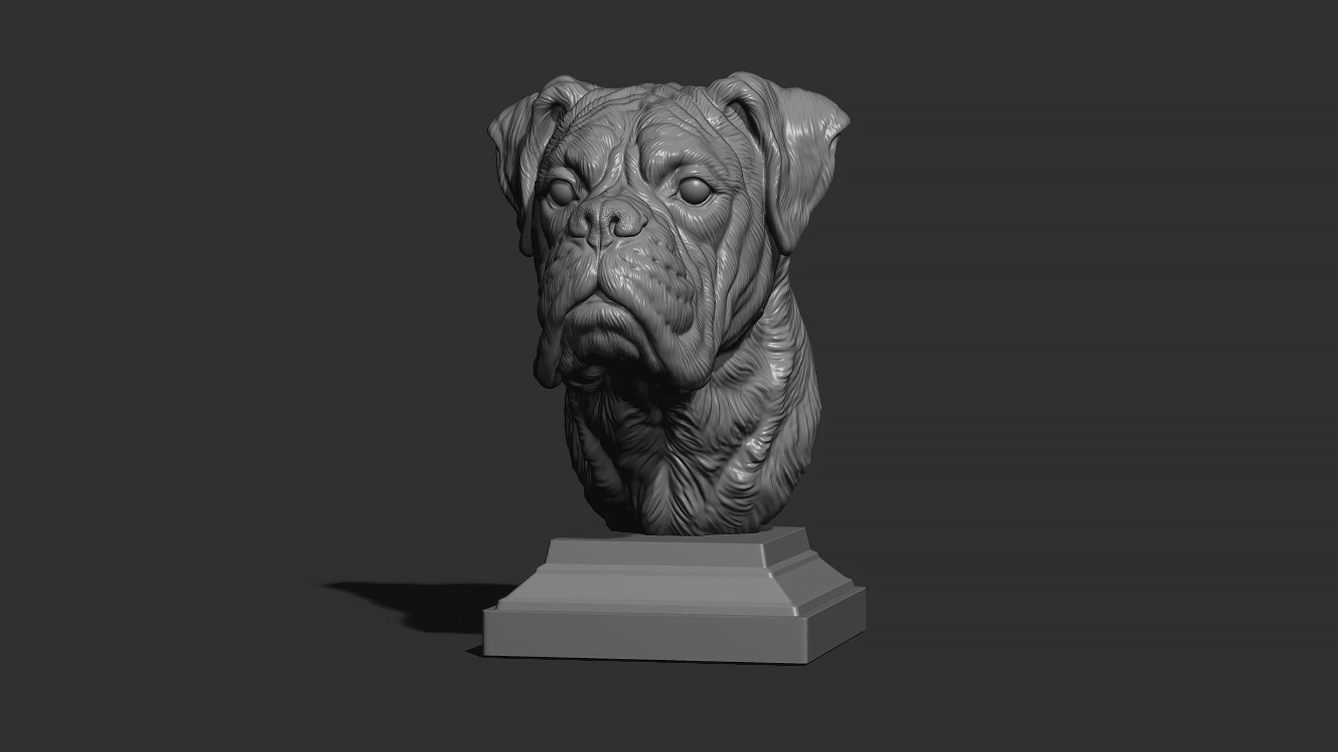 Deutscher Boxer bust 3D print model_19