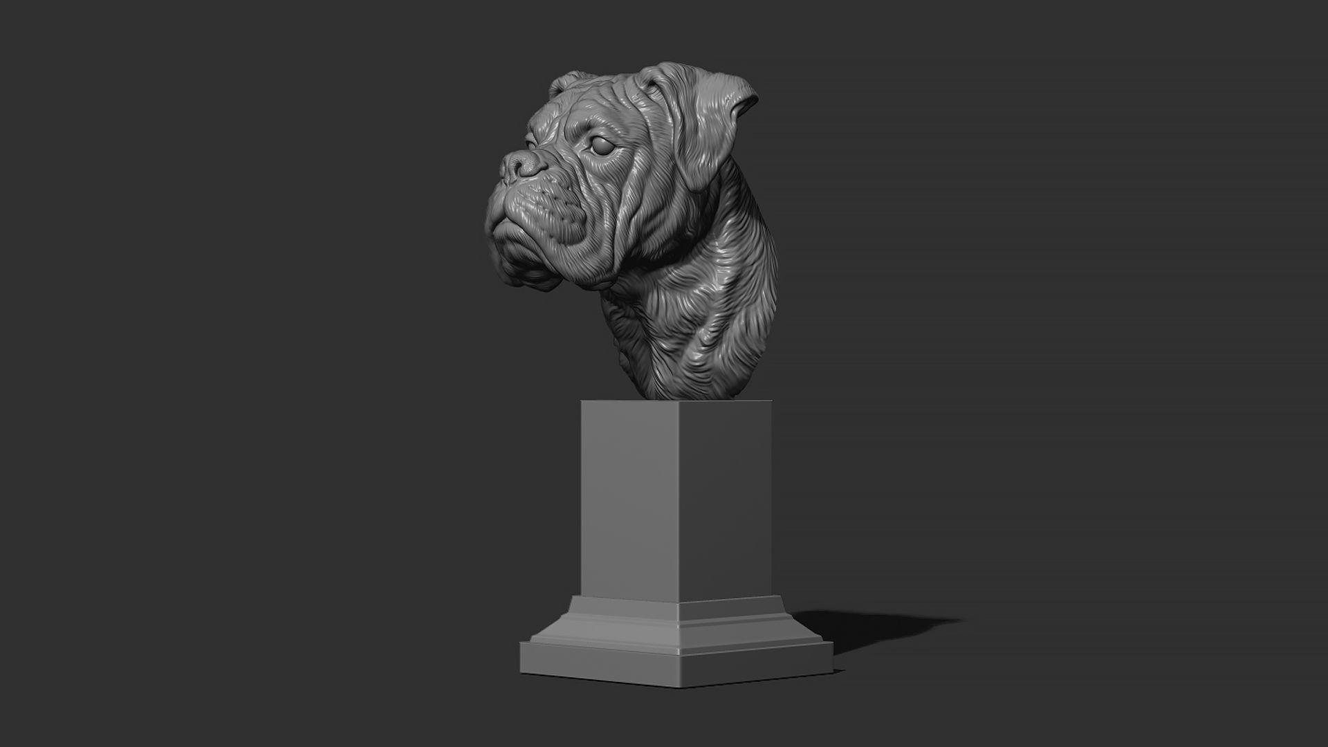 Deutscher Boxer bust 3D print model_15