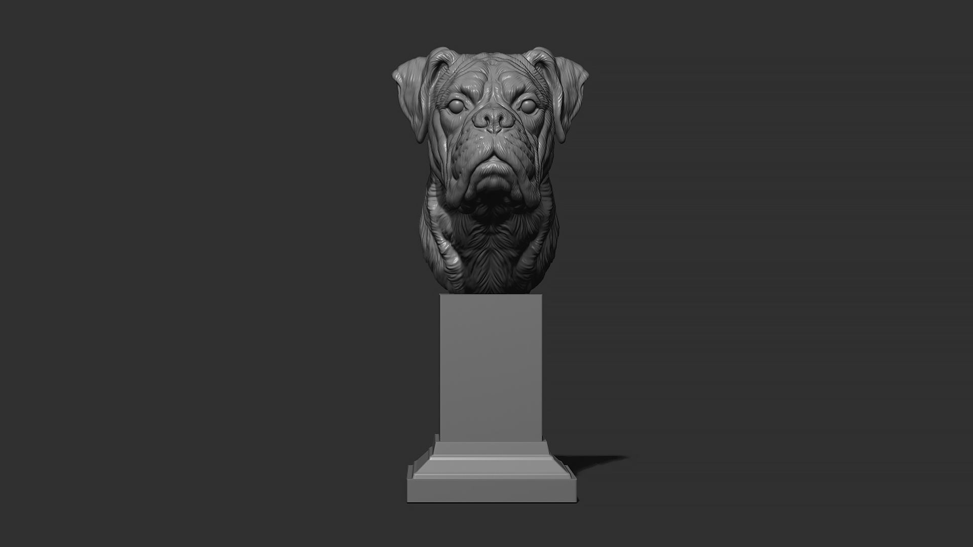 Deutscher Boxer bust 3D print model_16