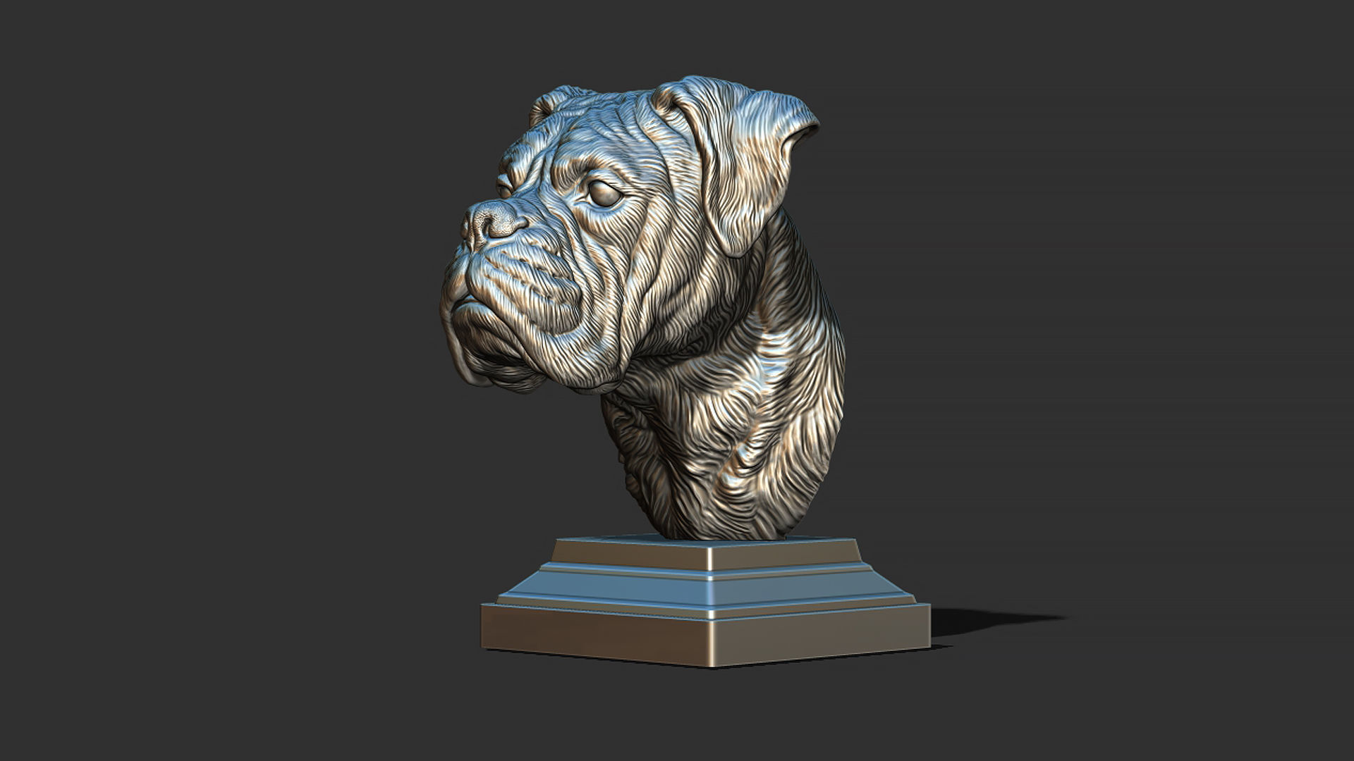 Deutscher Boxer bust 3D print model_20