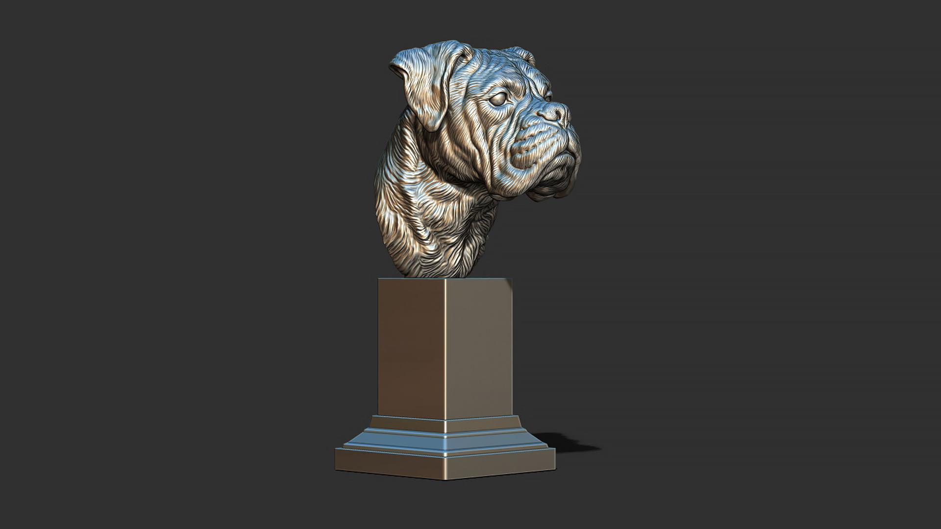 Deutscher Boxer bust 3D print model_13